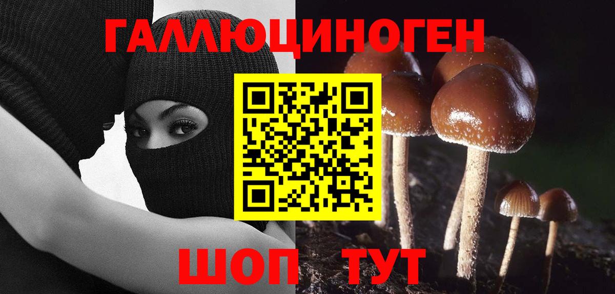 Галлюциногенные грибы мицелий  Галлюциногенные грибы GOLDEN TEACHER  Альметьевск  Вход с VPN 