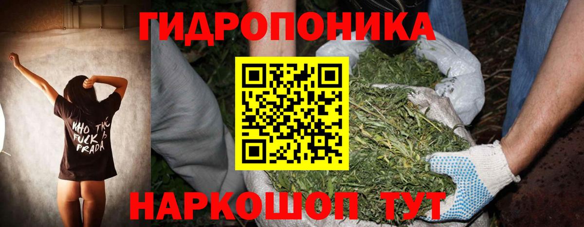 Канабис OG Kush Альметьевск